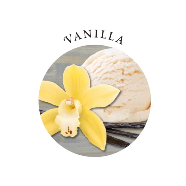 EB Edible massage oil vanilla - Image 2