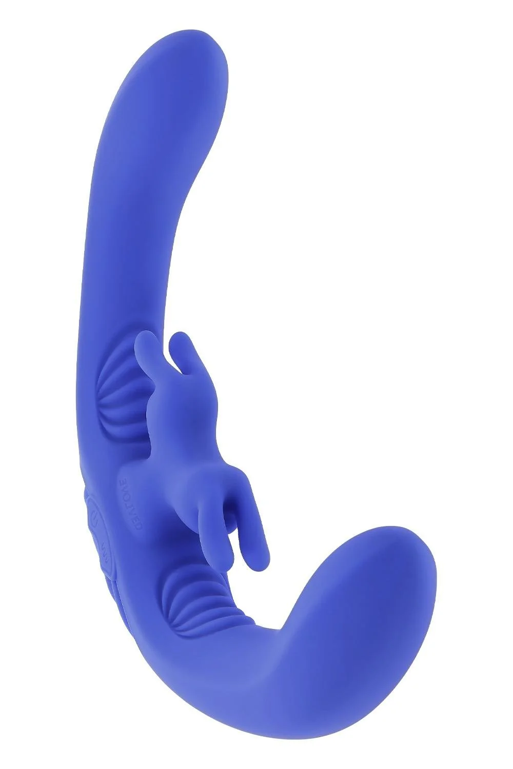 Evolved Lovebirds - Image 2