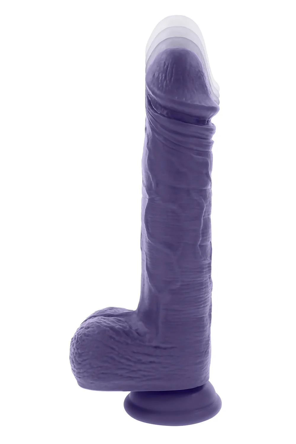 Evolved Pleasure Rider - Image 5