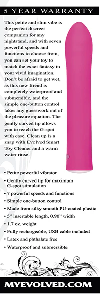 Evolved Rechargable G Spot Vibe - Image 4