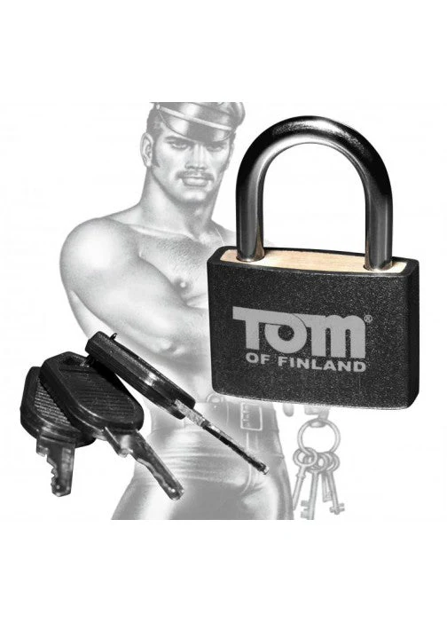 Metal Lock - Image 3
