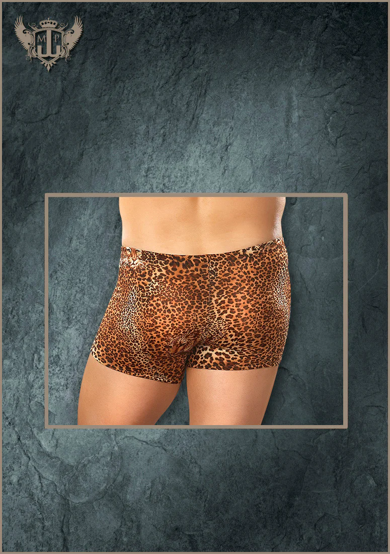 Male Power Pouch Short Leopard Lg 153030 - Image 2