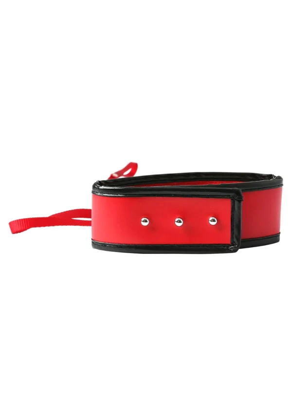 S&m Red Leash and Collar - Image 5