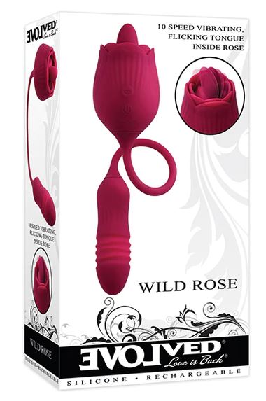 Wild Rose - Image 3
