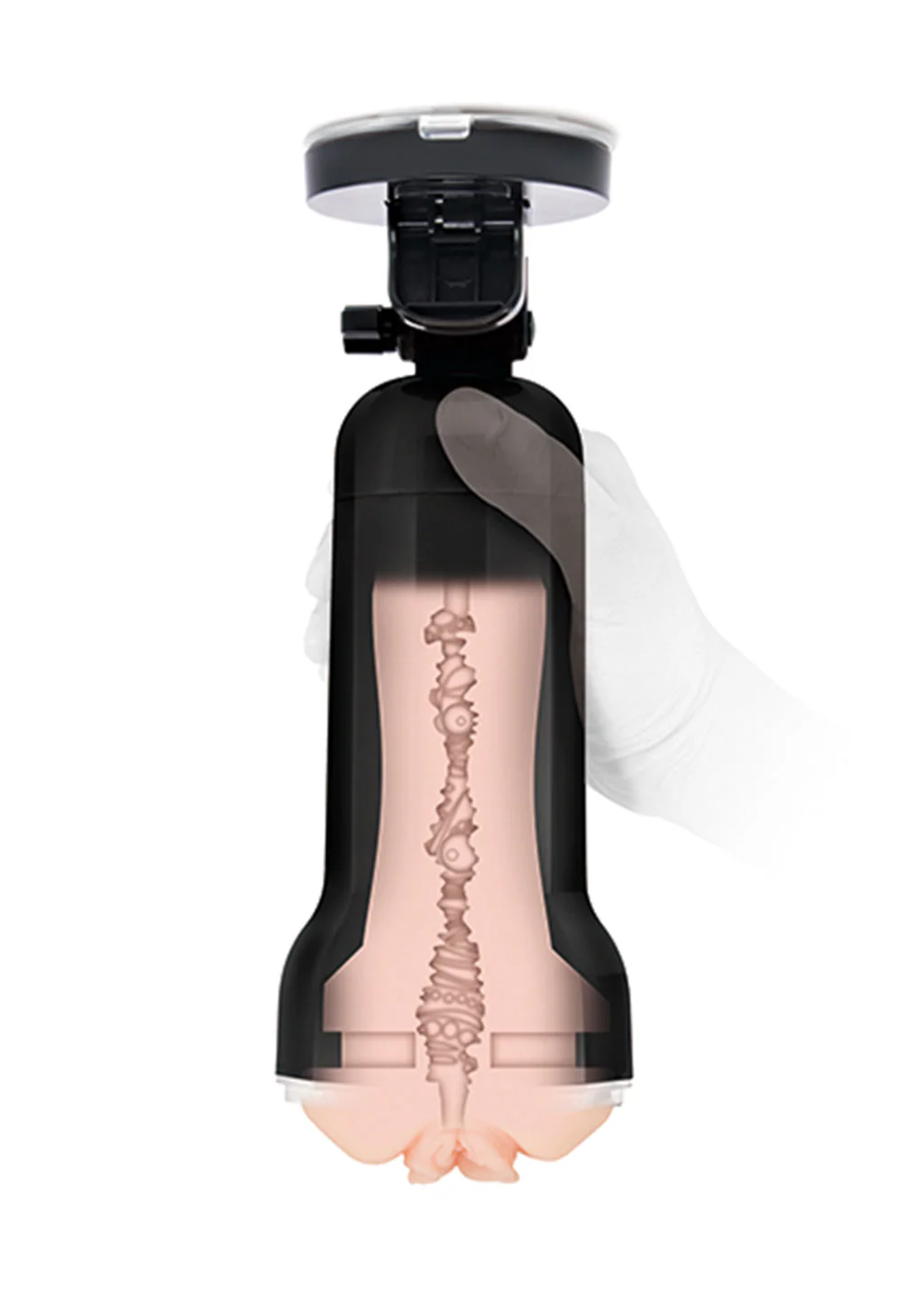 Zolo Personal Trainer Stroker - Image 3